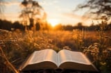 Người xưa dạy: Nỗi đau đều tự do mình gây ra, ai có 3 điểm này thì sẽ luôn đau khổ, bỏ ngay