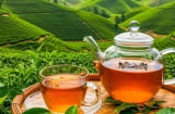 7 người nên tránh hoặc hạn chế uống trà tươi, chưa thấy Lợi đã thấy Hại