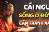 Đời người có 4 cái ngu: Bàn về cái ngu lớn nhất, bạn có mắc không?