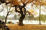 Vì sao Mùa thu lá vàng thì người hay buồn? Người xưa dặn Dưỡng Sinh Mùa Thu cần những điều này để Vui khỏe