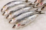 Loại cá tốt nhất thế giới, ở Việt Nam bán rẻ bất ngờ chỉ vài chục nghìn/kg