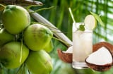 Những ai không nên uống nước dừa?