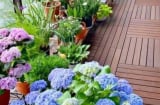 Xuất hiện 6 dấu hiệu phong thủy này, chứng tỏ nhà chung cư của bạn sắp hút vận may, gia chủ phát tài!