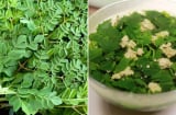 Loại rau có lượng canxi cao gấp 4 lần sữa, thường bị nhầm với rau ngót: Đem nấu canh vừa ngon vừa bổ