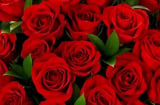 Top 3 con giáp hôn nhân viên mãn như Trúng Số Đặc Biệt, càng già càng hạnh phúc, gia đình giàu có