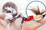 7 sai lầm phổ biến khi gội đầu mà nhiều người thường mắc phải