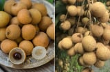 Mẹo bảo quản nhãn, để cả tuần vẫn tươi ngon, mọng nước như vừa hái