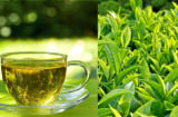 Đừng tưởng uống trà xanh là thần dược: 8 nhóm người này tuyệt đối đừng đụng vào