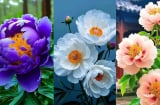 3 khung giờ sinh Phú Quý: May mắn từ tấm bé, Lớn Lên Giỏi Giang, Đường Đời Trải Thảm Đỏ