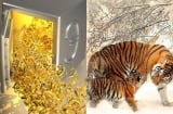 4 con giáp thứ Tư (20/8) Thần Tài ghé thăm, Thứ 5 tiền bạc rủng rỉnh, sang tháng 7 âm danh lợi song toàn