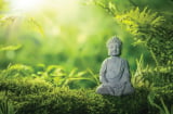 5 điều cho thấy bạn có nhân duyên với nhà Phật hay không?