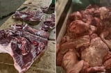 Đi chợ mua thịt lợn thấy 4 dấu này, cẩn thận đó là thịt nhiễm dịch tả lợn châu Phi