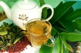 5 người tuyệt đối không uống nước lá ổi, càng uống càng sinh bệnh