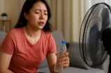 Cảnh báo: Dùng quạt kiểu này ngày nắng nóng dễ gây đột quỵ tim mà nhiều người không biết