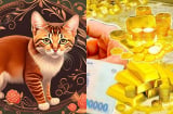 21 ngày tới (24/8-12/9): 4 con giáp vận đỏ chạm nóc, sang tháng 10 tiền đổ về như mưa rào, tháng 11 giàu to