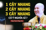 Thắp hương cúng tháng 7 Cô Hồn nên chọn 1, 3 hay 5 cây nhang mới đúng: Làm sai mất hết phúc lộc