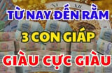 Ở hiền Tiền - Tài tự đến, 3 con giáp Lộc Tựa Tràng Giang, số 2 giàu nhất