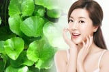 4 công dụng làm đẹp tuyệt vời từ loại rau rẻ tiền bán đầy ngoài chợ
