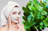 Bạc hà – loại thảo mộc quen thuộc là 'thần dược' với làn da