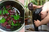 Nấu nước gội đầu bằng loại lá này, sạch gàu, giảm rụng, tóc con mọc không ngừng: Mùa này ai cũng cần