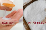 Trộn muối trắng với dầu gội: Công dụng tuyệt vời cho tóc cả nam và nữ đều thích