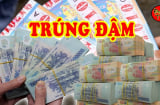 Trúng Đậm Ăn To sau 27/8: 3 con giáp Tiếng Tăm Vang Dội, giàu nhất tuổi số 2