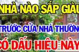 4 dấu hiệu ngôi nhà sắp phát tài