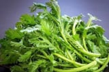 Rau này thường có vào mùa đông, giàu dinh dưỡng, thơm ngon, thanh lọc cơ thể chẳng thua kém bồ công anh