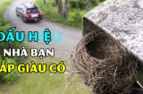 Tổ Tiên gửi Mộng Vàng: Nhà gặp 3 dấu hiệu này sắp sửa giàu to, con cháu lo mà hưởng