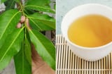 Nước lá vối thanh nhiệt, giải độc nhưng không tốt với 3 nhóm người này