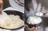 Nấu cơm thêm thứ này giúp tăng lượng tinh bột kháng, ăn không sợ mập