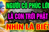 3 dấu hiệu của người có Phúc Lớn là con Trời Phật: Nhìn qua là biết