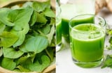 Cách làm nước rau diếp cá không tanh, dễ uống, giúp thon dáng, trắng da