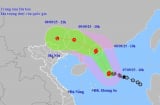 Tin Bão Số 7(Bão Tapah): Cảnh báo mưa lớn trên diện rộng