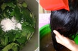 Cách gội đầu bằng lá trà xanh giảm nhanh rụng tóc, dưỡng tóc suôn mềm, tóc con lên tua tủa