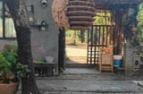 5 loài vật xuất hiện quanh nhà báo hiệu điềm xui, đừng vội mừng kẻo hối hận