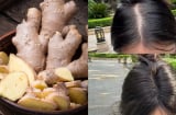 Cách trộn dầu gội với gừng giúp giảm rụng tóc, tóc mọc dày, đen bóng