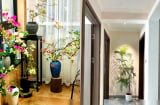 Dù nhà có rộng đến đâu, 5 vị trí này tuyệt đối không nên đặt hoa hoặc cây xanh, kẻo 'hoa thịnh người suy'