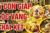 4 con giáp Thiện duyên sinh thiện quả, Long Phụng quy tụ, phước báu song toàn Tết 2026