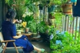 5 vật tuyệt đối không đặt trên ban công, giúp ngôi nhà hút tài lộc và may mắn ngay lập tức