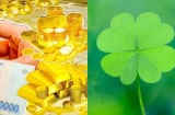 Mệnh số mở đèn xanh: 4 con giáp từ tuổi 40 thuận buồm xuôi gió, tiền bạc không thiếu, giàu mãn kiếp