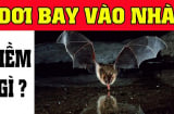 4 con vật đến nhờ tưởng May hoá Gở, đừng cố giữ lại kẻo Tiền mất tật mang