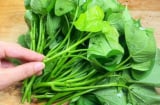 Loại rau từng là thức ăn cho lợn, nay được bán ở trời Tây giá hơn 1 triệu/kg