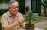 Tuổi già muốn an yên, đừng lộ 3 điều này kẻo mang họa vào thân