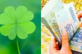 3 con giáp mang 'thiên mệnh công danh' được ví như 'ông hoàng công việc', làm gì cũng ra tiền