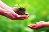 3 cách phong thủy xả xui cuối tháng cô hồn, rước tài lộc, may mắn đầu tháng mới