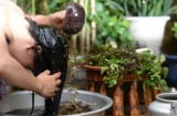 Gội đầu bằng 4 loại nước này giúp giảm rụng tóc, tóc con mọc lên không ngừng