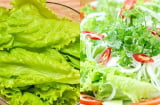 Loại rau ‘bình dân rẻ tiền’ ở Việt Nam bất ngờ lọt top tốt nhất thế giới, ăn nhiều trẻ lâu – dáng đẹp