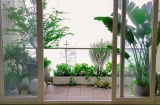 5 điều tối kỵ đối với ban công trong phong thủy, lưu ý kẻo tài lộc trong nhà 'bay mất'