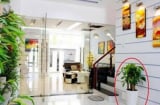 5 quy tắc phong thủy hút tài lộc: Người giàu đặc biệt kiêng kỵ phần 'miệng' của ngôi nhà